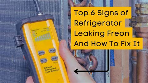 5 Signs of a Freon Leak in Your Refrigerator